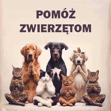 Działania organizacji pozarządowych w celu ochrony i pomocy zwierzętom. Stworzenia nie powinny cierpieć.